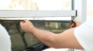 tinting your home windows